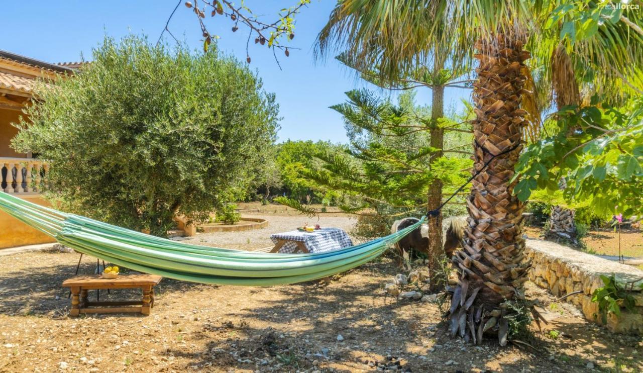 Ferienhaus Ses Cames Roges
